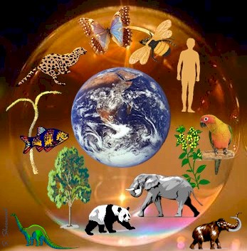 поздравительная открытка 5 июня - всемирный день охраны окружающей среды